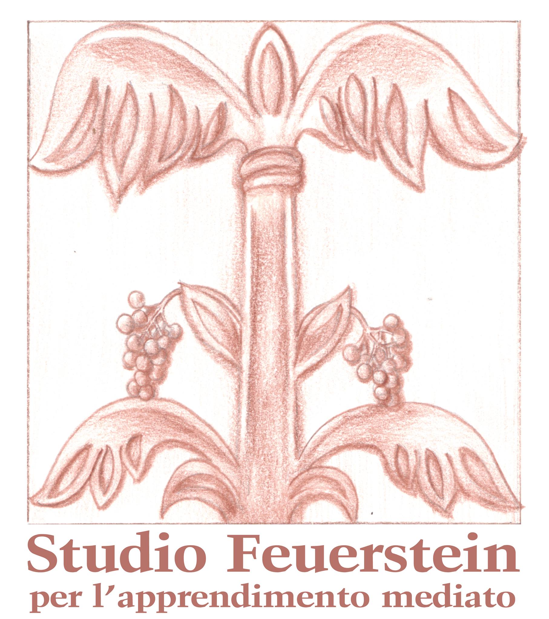 Studio Feuerstein per l'apprendimento mediato logo